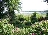 Cape Cod
